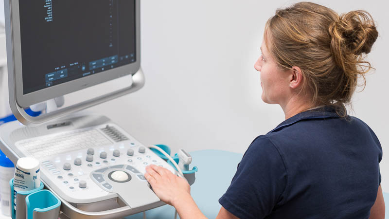 Dr.Cornelia_Barthels-Heiligenstadt-Ultraschall-2870 Dr.Cornelia_Barthels-Heiligenstadt-Ultraschall